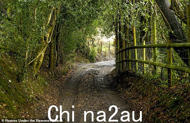 维克斯梦想中的三居室住宅坐落在田园诗般的汉普郡乡村