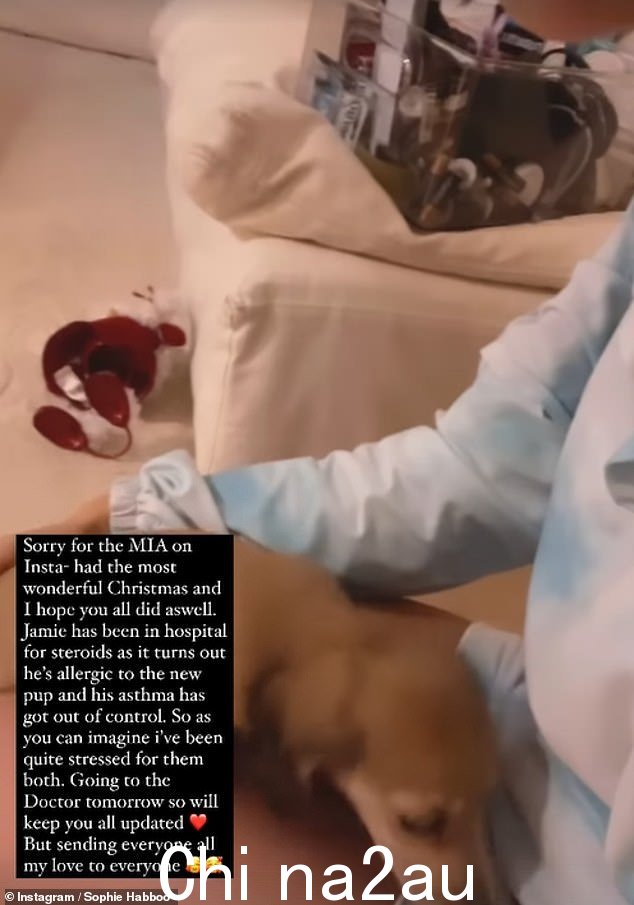 令人担忧:在发布到她的 Instagram 快拍的视频中,Sophie 向她的粉丝更新了 Jamie 的情况在离开社交媒体几天后