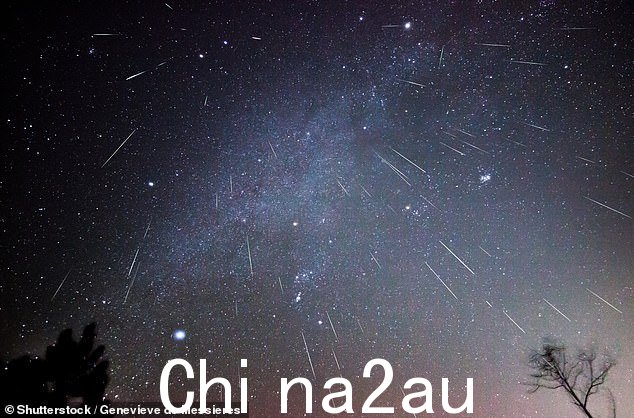 这颗彗星并不是 2023 年唯一的宇宙展示,因为这一年将以一年一度的象限仪座流星雨拉开帷幕,并以 12 月令人印象深刻的双子座流星雨(如图)结束