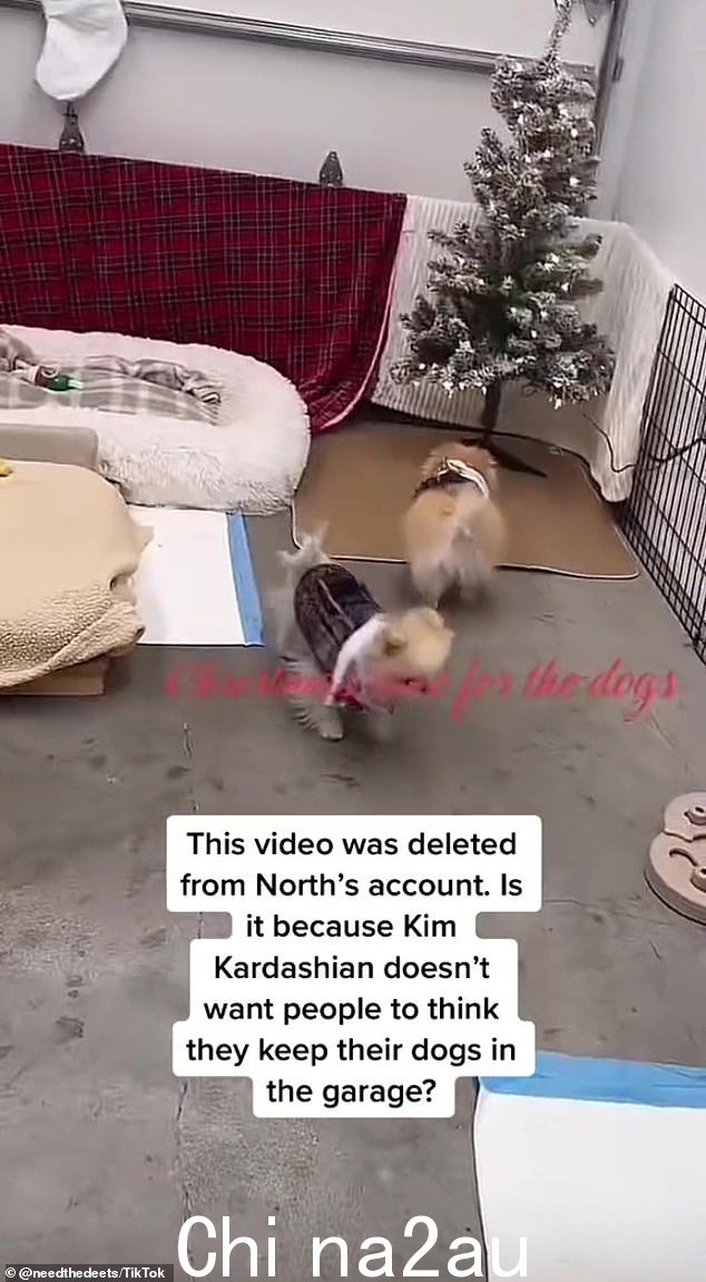 在车库里:这位真人秀明星发布并删除了一段 TikTok 视频,视频中她的两只博美犬 Sushi 和 Sake 在配有尿垫的围栏中漫游