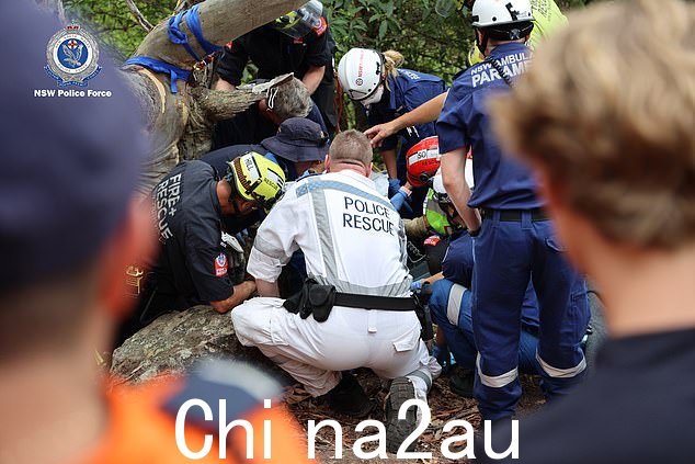 一名患有严重阿尔茨海默氏症的 79 岁男子四天前在丛林中失踪后,在距离当地 SES 总部仅几百米的地方奇迹般获救