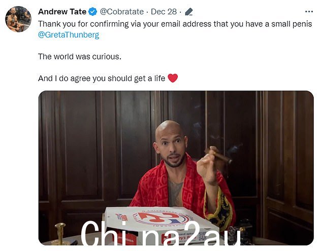 当 Tate 上传对 Greta Thunberg 在 Twitter 上的粗暴攻击的回应时,视频中出现了一盒 Jerry's Pizza(如图)。当地媒体报道称,由于披萨盒,警方得以确认泰特和他的兄弟在罗马尼亚