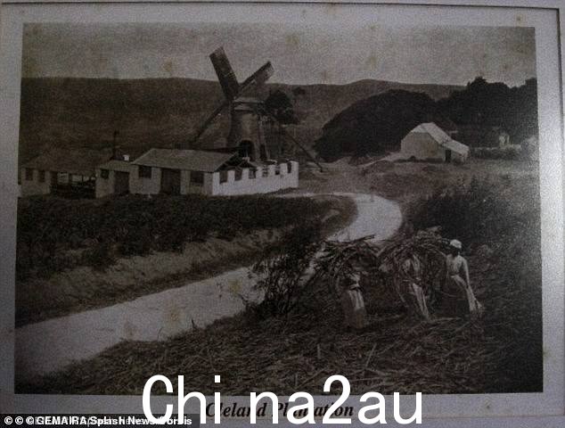 Cleland Plantation,Cumberbatch 的第七任曾祖父拥有,是 250 名奴隶的家园