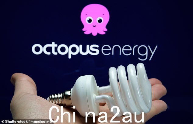 Ofgem 今年早些时候启动了一项关于如何支付救助客户的沉重成本的审查。人们担心 Bulb 内爆的 65 亿英镑成本可能会导致固定费用进一步飙升