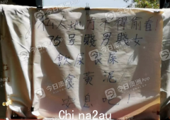 澳洲华人邻居贴“大字报”，台湾女按摩师被强奸？宠物狗寄养致失明，姐弟因工资反目，2022独家报道盘点：扯皮纠纷（视频/照片）