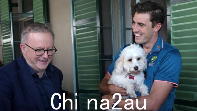 澳大利亚队长 Pat Cummins 感谢 Albanese 先生招待两支球队。图片:NCA NewsWire / Damian Shaw
