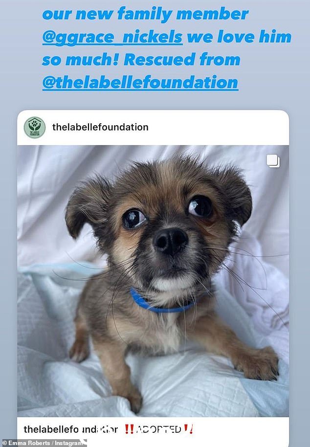 珍贵的狗:Emma Roberts 从 Labelle Foundation 收养了一只名叫 Skunk 的小狗来开启新年