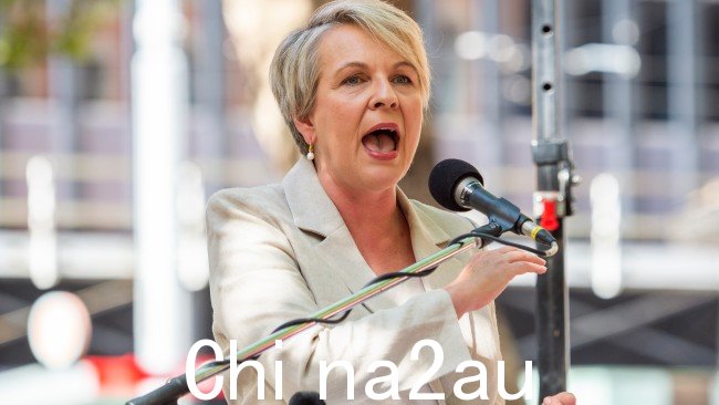 环境 Tanya Plibersek 警告澳大利亚人电子烟对环境造成的危害。图片:澳大利亚人 / Monique Harmer