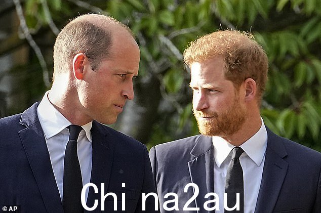 哦,还有 Harry 暗示他的兄弟不被允许为爱情结婚。那是一个特别难听的话。