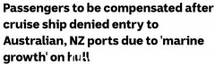 “生物污染游轮”抵达墨尔本：此前多次被拒靠岸 数百名乘客一周多来首次下船（图）