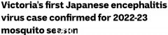 维多利亚确认本季第一宗日本脑炎个案！卫生部警告：疫苗有限，自我保护很重要（图）