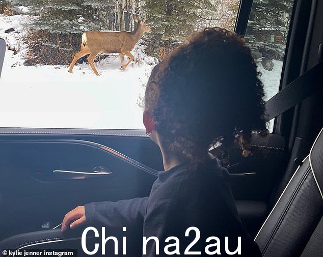 看! Jenner 分享了一张她四岁女儿 Stormi 的照片,她看着窗外的一只鹿在雪地里腾跃。