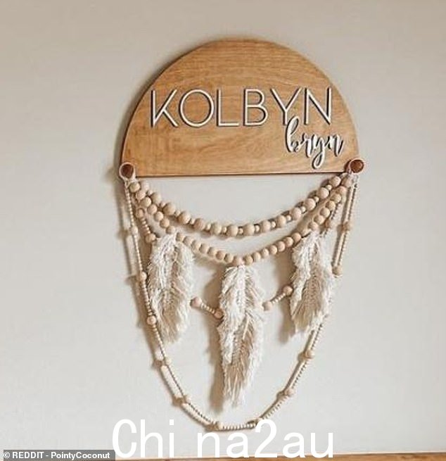 Reddit 帖子中还描绘了一系列婴儿名字标志,其中一个是 Kolbyn Bryn