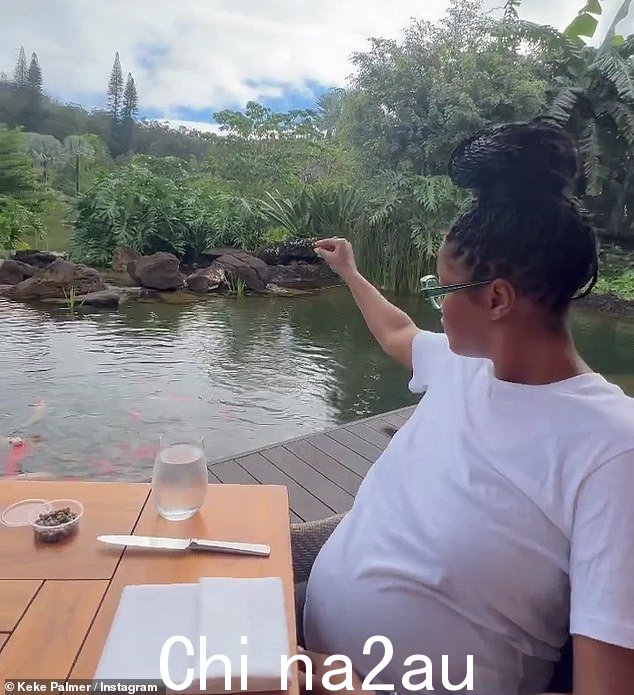 风景:在短片中,科科被充满各种植物和树木的令人惊叹的自然景观所包围