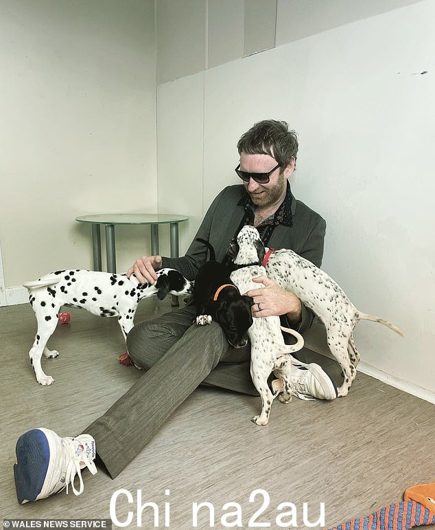 Dotty for dogs: Matthew playing with a group of Dalmatians
