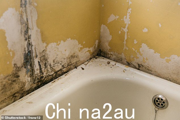 厨房和浴室最容易发霉,因此 NAPB 建议在做饭或淋浴时打开窗户。这样可以让湿气从家里流出,而不是堆积