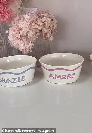 在 Instagram 上以 Luxe 和 Lemonade 为名的悉尼廉价购物者丹妮 (Dani) 首先提醒她的数千名粉丝注意 Kmart 的菜肴(如图)