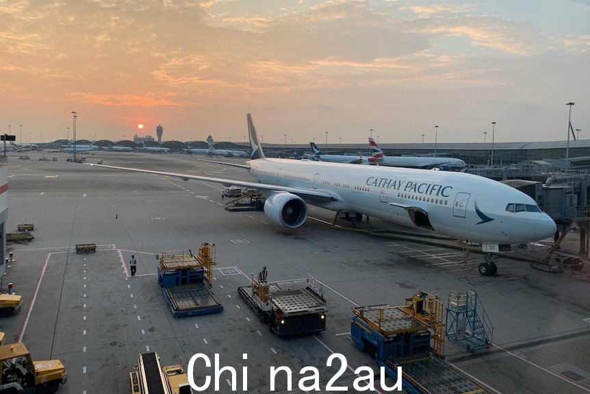 一架国泰航空公司的飞机停在香港国际机场的登机口，行李舱打开。
