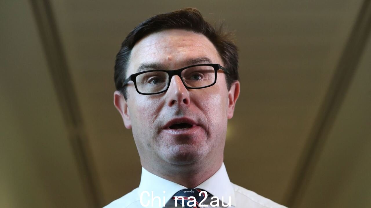向议会发出的声音不会让澳大利亚土著人有发言权:David Littleproud