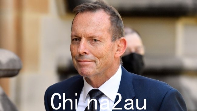 Tony Abbott 抨击大型科技公司倾斜 p在即将举行的议会全民投票之前铺平道路。图片:NCA