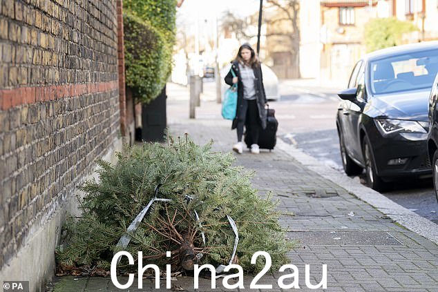 伦敦:一个人走过一棵被丢弃在图廷人行道上的圣诞树