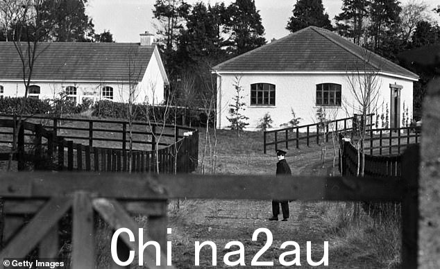 图片:一名警察在基尔代尔郡纽布里奇的 Ballymany 种马场执勤,Shergar 是从那里带走的马