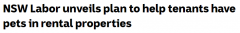 新南威尔士州工党宣布租赁计划，简化带宠物租户的申请流程（图）