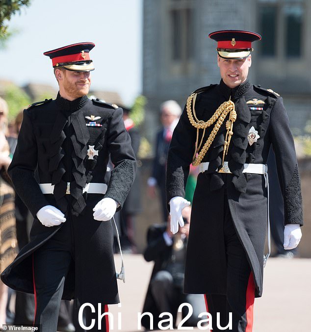 哈里王子和威廉王子在温莎城堡圣乔治教堂参加前者的婚礼
