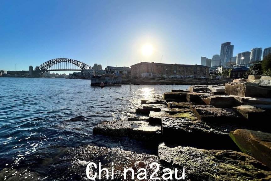 背景为悉尼海港大桥的水和岩石