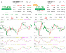 2023年巴菲特再次减持比亚迪（图）