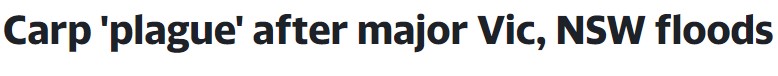 8 .jpg,0