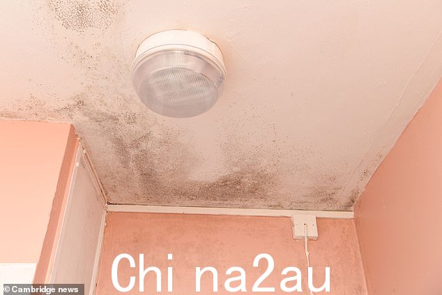 Shore 女士说,市议会官员的反应是递给她一张关于如何处理冷凝水的纸,她将其描述为'一记耳光'