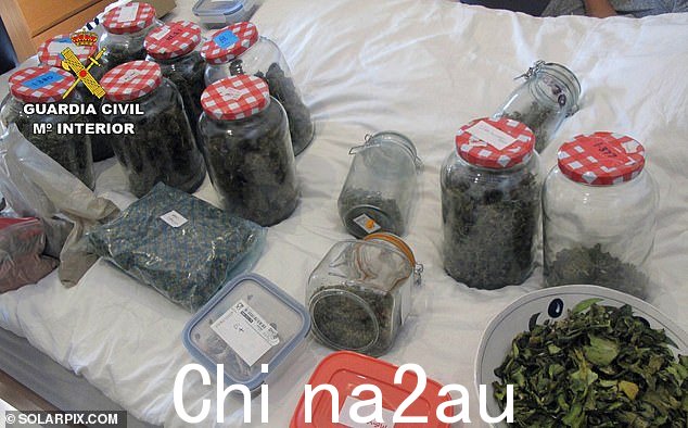 据称发现的药物包括神奇蘑菇、ayahuasca 和 sananga,它们被亚马逊地区的一些部落用来增强夜视能力