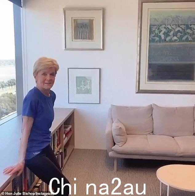 前外交部长朱莉·毕晓普在被指控使用 Instagram 滤镜后回击了她的批评者,如果我让她在照片中显得更年轻的话