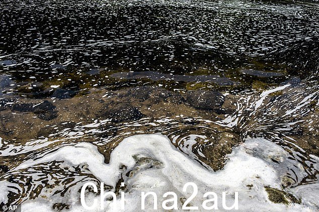 当化妆品被洗掉时,PFAS 会进入水源并最终进入溪流和河流 - 可能会污染生态系统并使鱼类中毒。如图所示,PFAS 泡沫聚集在密歇根州伊斯科县的 Van Etten Creek 大坝