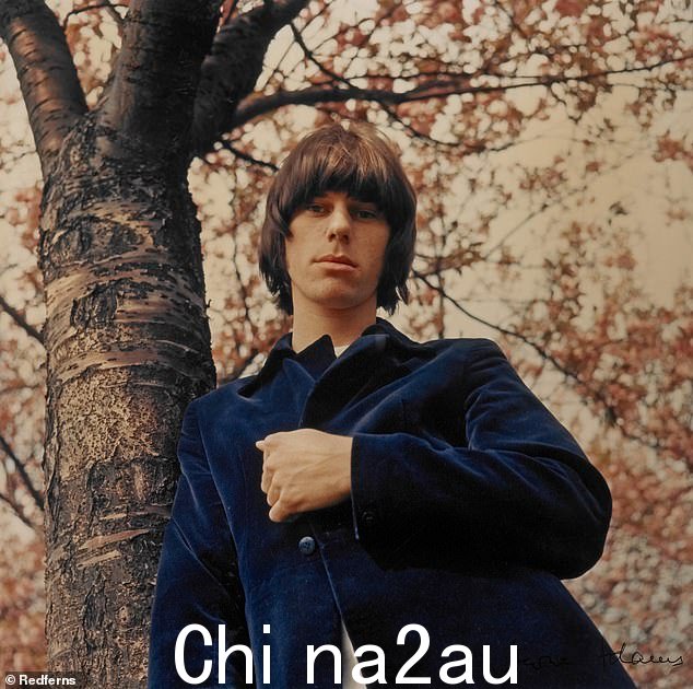 Beck 最初是作为 Yardbirds 的成员崭露头角,然后开始了他自己的独奏生涯,其中融合了硬摇滚、爵士乐、放克蓝调甚至歌剧