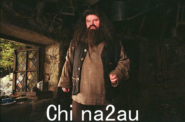 演艺巨匠 Robbie Coltrane 的骨灰散落在他最喜欢的纽约常去的地方