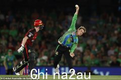 Adam Zampa 呼吁引入后院板球规则以解决 Big Bash League 问题