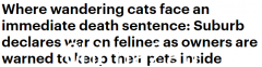 照顾好你的猫！悉尼将对“野猫”实施安乐死，引居民指责（图）