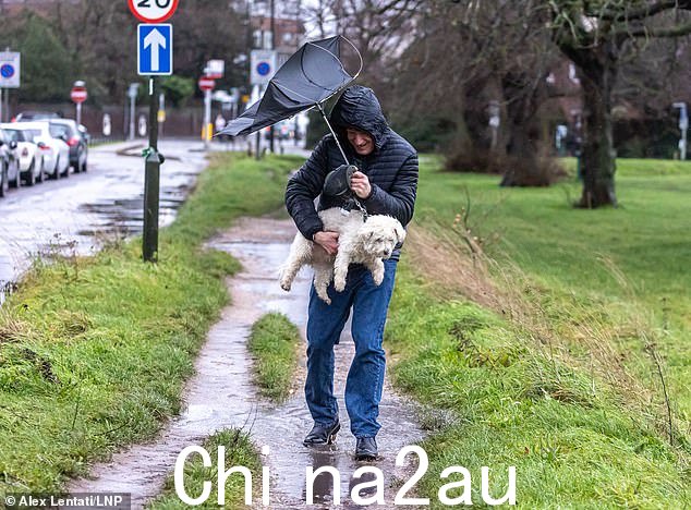 一个遛狗的人拿着他的雨伞挣扎着温布尔登网球公开赛大风大雨中的宠物