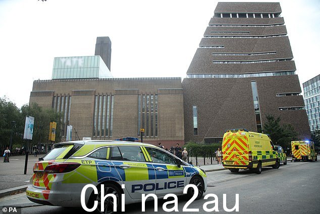 2019 年,在男孩从 10 楼被抛出后,警察被叫到泰特现代美术馆