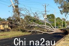 维州遭风暴袭击 西澳丛林大火形势恶化（图）