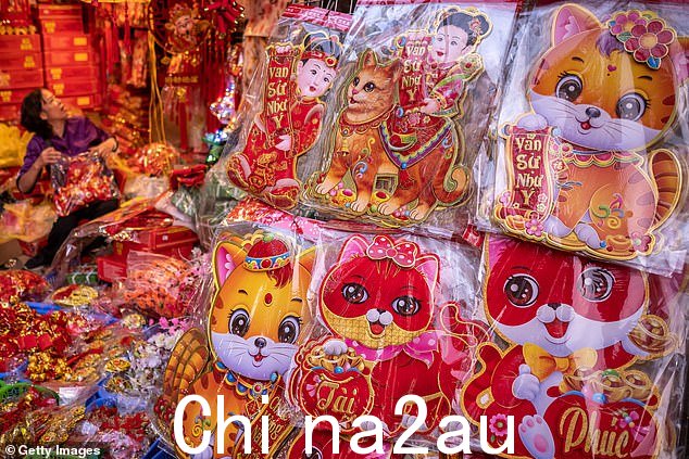 2023 年 1 月 14 日在越南河内老城区的春节市场上拍摄的带有猫图像的贴纸