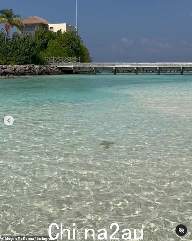 风景:乡村歌手喝着咖啡,看着鱼儿在海里游来游去她正在放松的日光浴床区