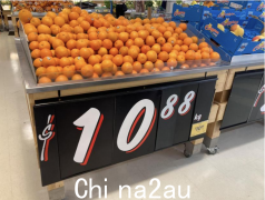 10.88 美元/公斤？澳洲超市卖橙子天价！网友：四人花了12刀，贵到哭（组图）