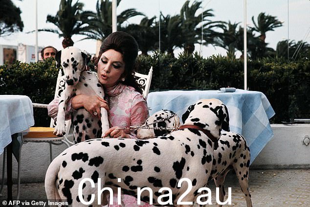 这位女演员在 1972 年第 25 届戛纳国际电影节期间与四只斑点狗抵达卡尔顿酒店后合照