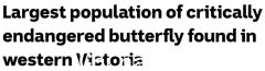 维州西部惊现“极度濒危”物种，数量是第二大栖息地的10倍