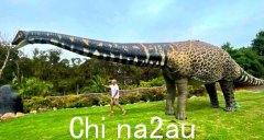 你想买一只恐龙吗，那个18米高的！澳网卖超写实模型“仅”6万美元（图）