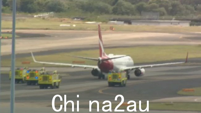 航空专家 Keith Tonkin 在观察飞机着陆的景象后告诉 SkyNews.com.au，飞机似乎有它的左引擎有问题。