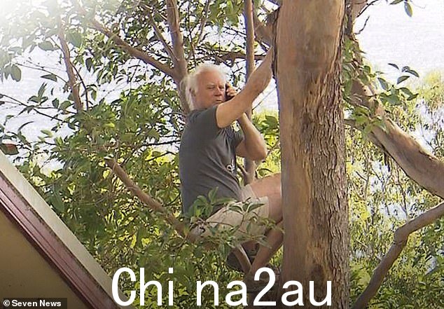 Norm Duke，70 岁，（如图）在树艺师抵达他位于昆士兰黄金海岸沿海郊区 Currumbin 的房产前不久，对当地的灌木箱进行了缩放